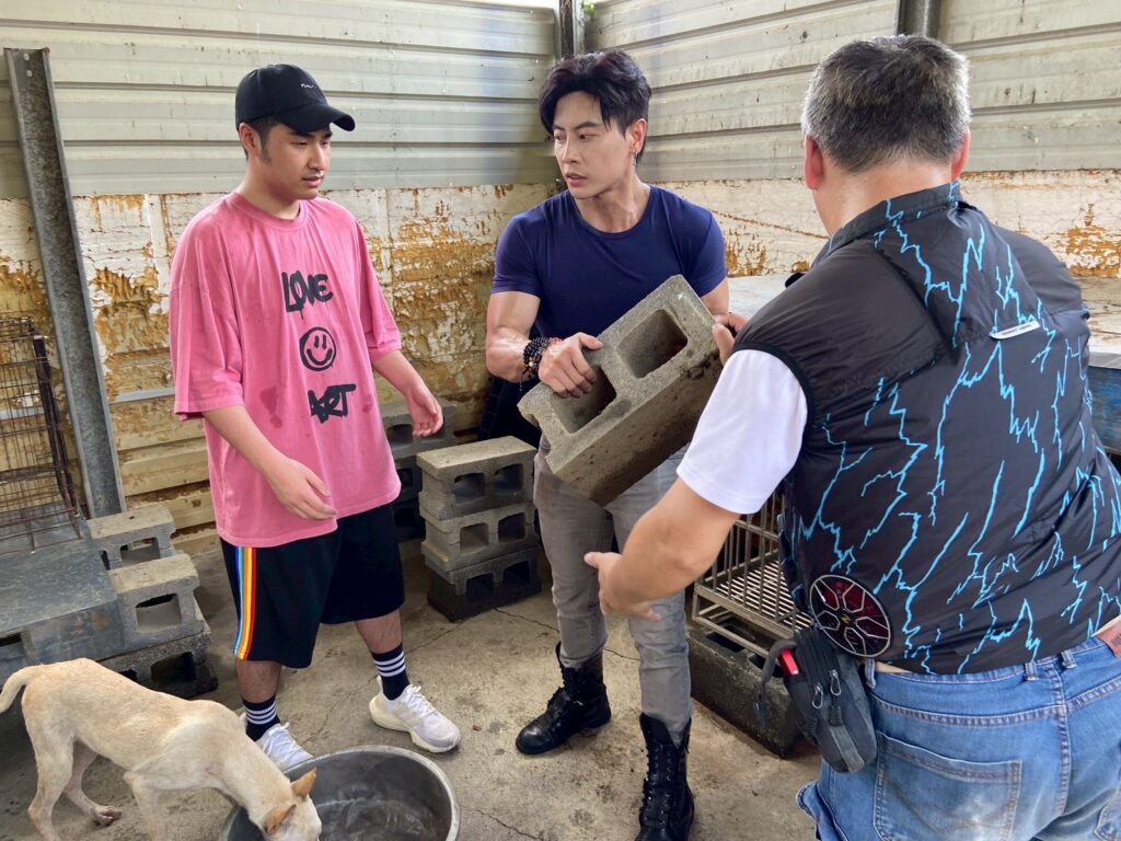 愛心灌爆台南狗園!「戲劇女神」韓雨潔、唐子元領軍藝人KOL送暖,預告回歸大銀幕:參演藤井樹新片 6 S 219332678