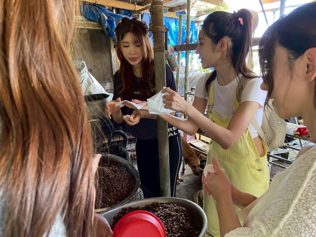 愛心灌爆台南狗園!「戲劇女神」韓雨潔、唐子元領軍藝人KOL送暖,預告回歸大銀幕:參演藤井樹新片 9 LINE ALBUM 2025817%E5%8F%B0%E5%8D%97%E5%85%AC%E7%9B%8A%E7%BE%A4 250818 2