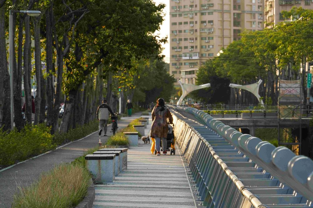 紅冠水雞築巢孵育新生命 中和藤寮坑溝藏「彩蛋」 3 《圖說》新北水利局以創新的治水思維,打造藤寮坑溝1.5公里近自然河川及通勤綠廊。〈水利局提供〉