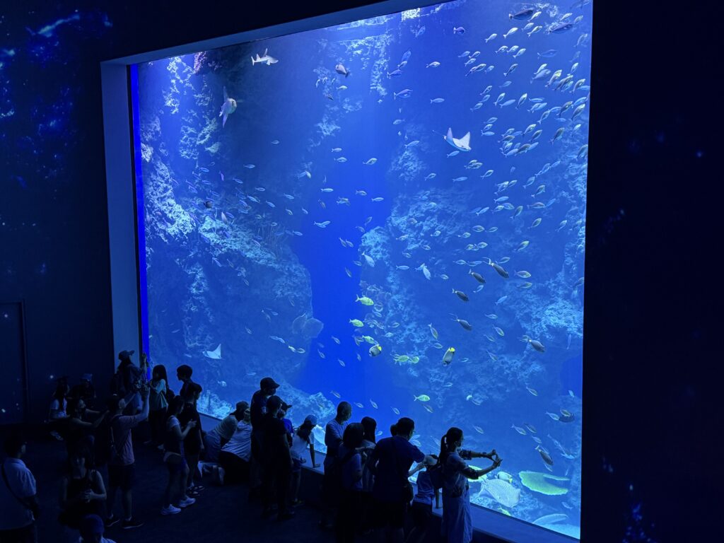 %E5%8F%B0%E4%B8%AD%E6%B5%B7%E6%B4%8B%E9%A4%A88%E6%9C%8821%E6%97%A5%E7%8F%BE%E6%B3%81%E7%85%A74