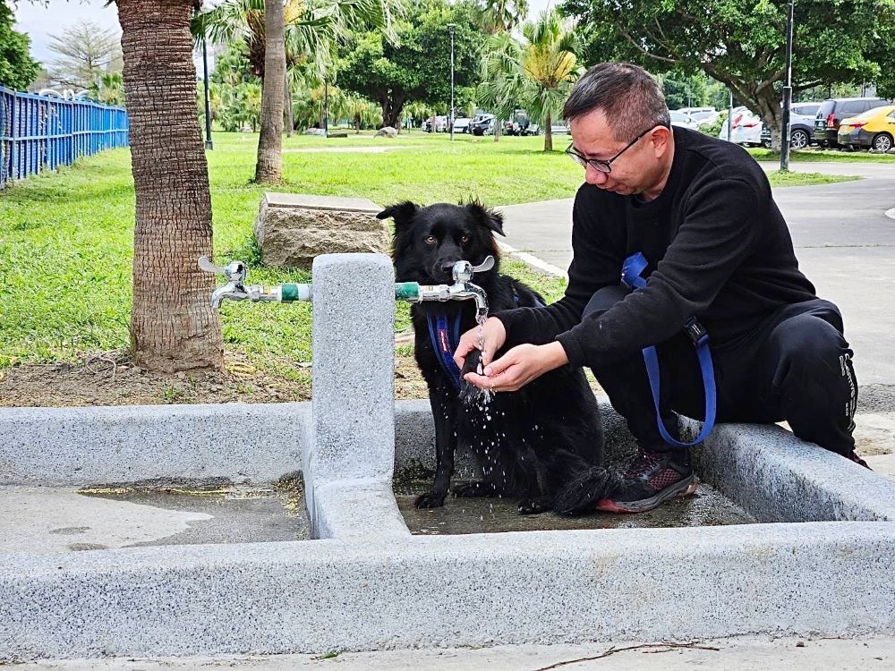 陪毛孩歡度「國際狗狗日」 新北河濱 7座寵物公園首選 2 《圖說》高灘處近年持續優化寵物公園設施+全面增設寵物洗腳池。〈高灘處提供〉