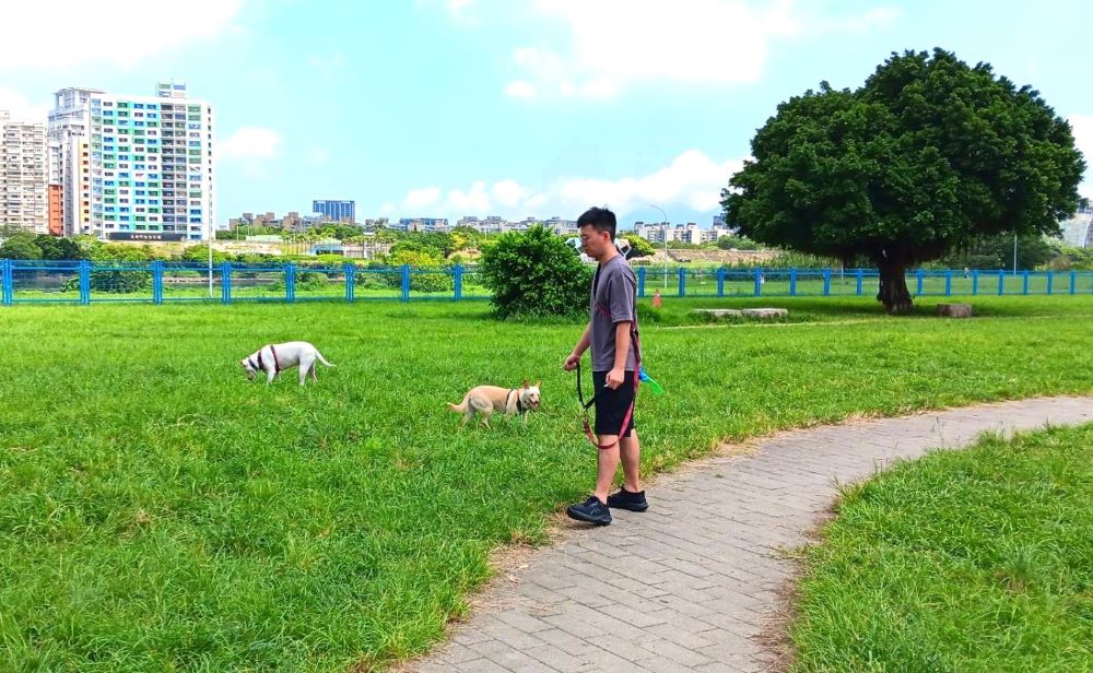 陪毛孩歡度「國際狗狗日」 新北河濱 7座寵物公園首選 3 《圖說》新北河濱寵物公園擁有廣大空間+可讓毛孩盡情奔跑。〈高灘處提供〉