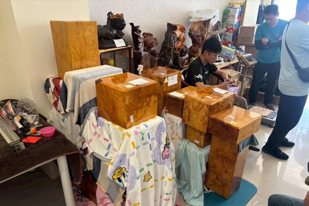 盜伐南投 馬海濮富士山 神木 山老鼠集團抓到了 12 MEITU 20250827 105432852