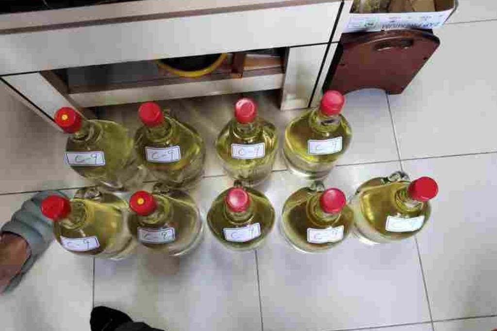 盜伐南投 馬海濮富士山 神木 山老鼠集團抓到了 13 MEITU 20250827 105502183