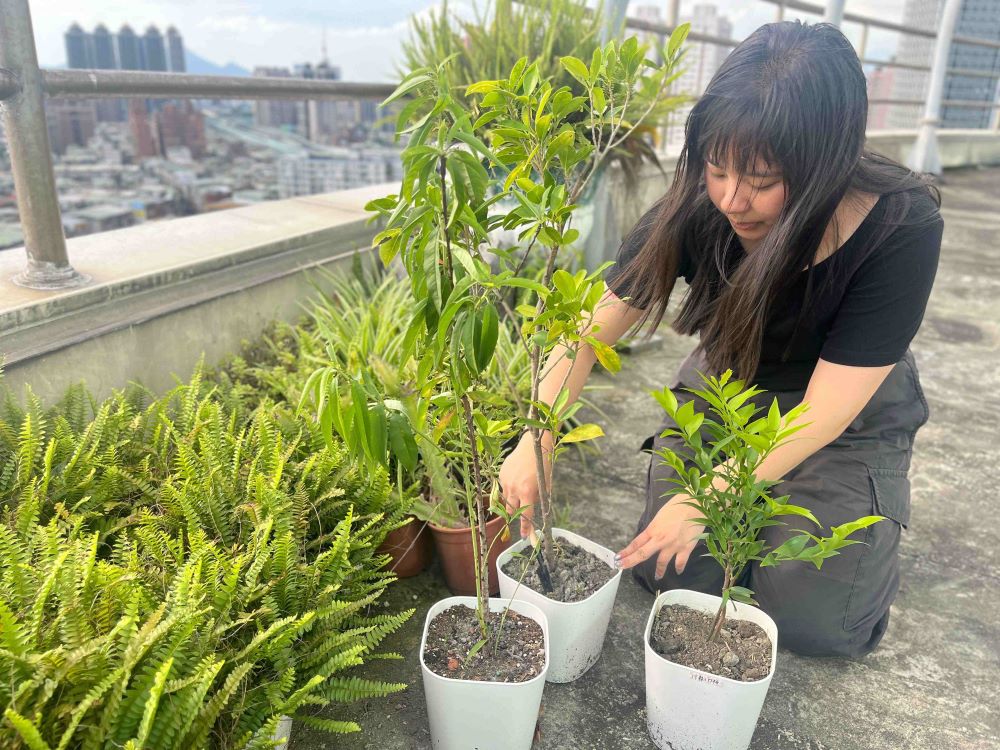 《圖說》新北市農業局邀請民眾一同種樹透過專屬網站可申請免費苗木及媒合公有土地。〈農業局提供〉