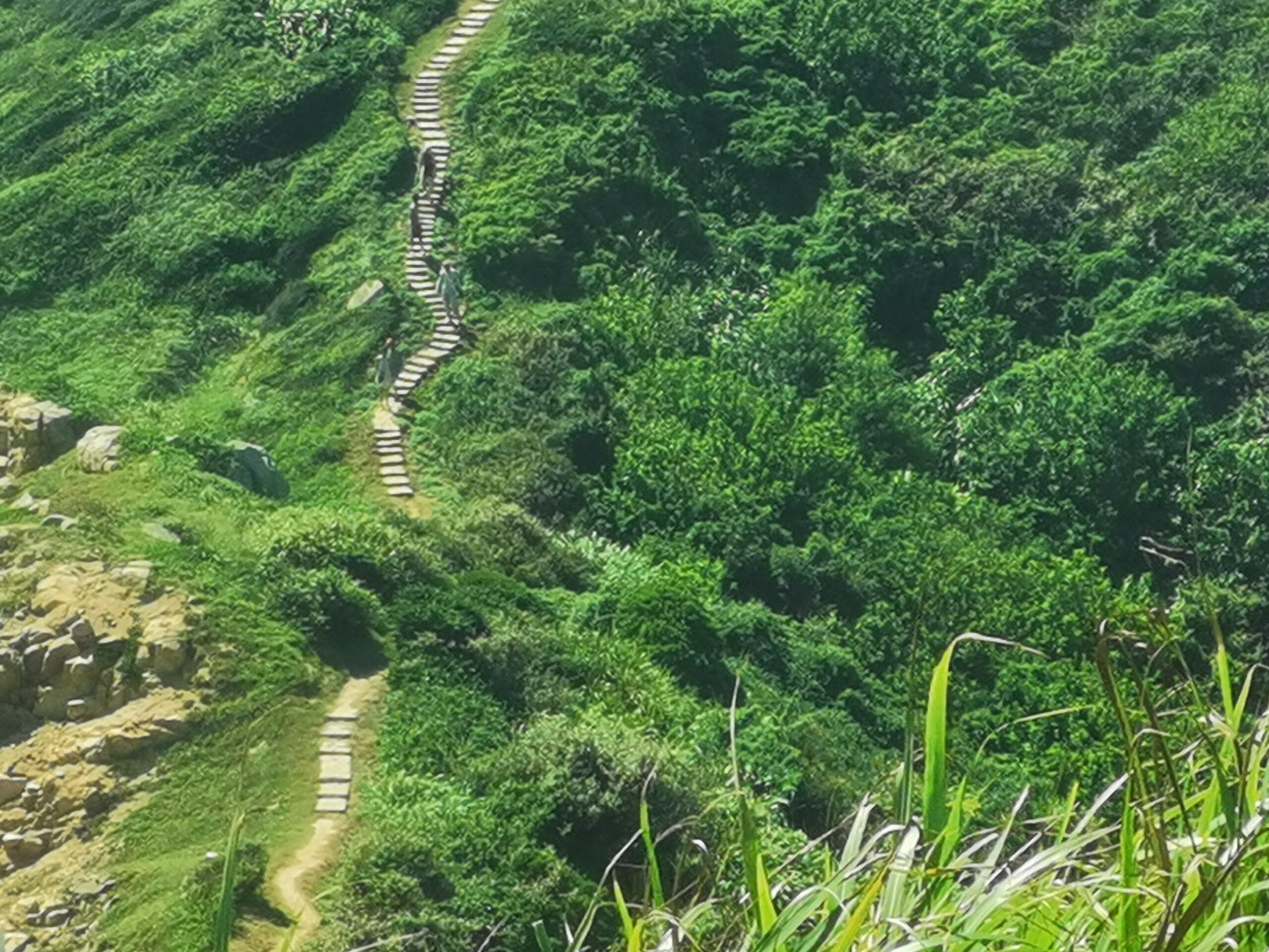 IMG 20250824 095755 scaled