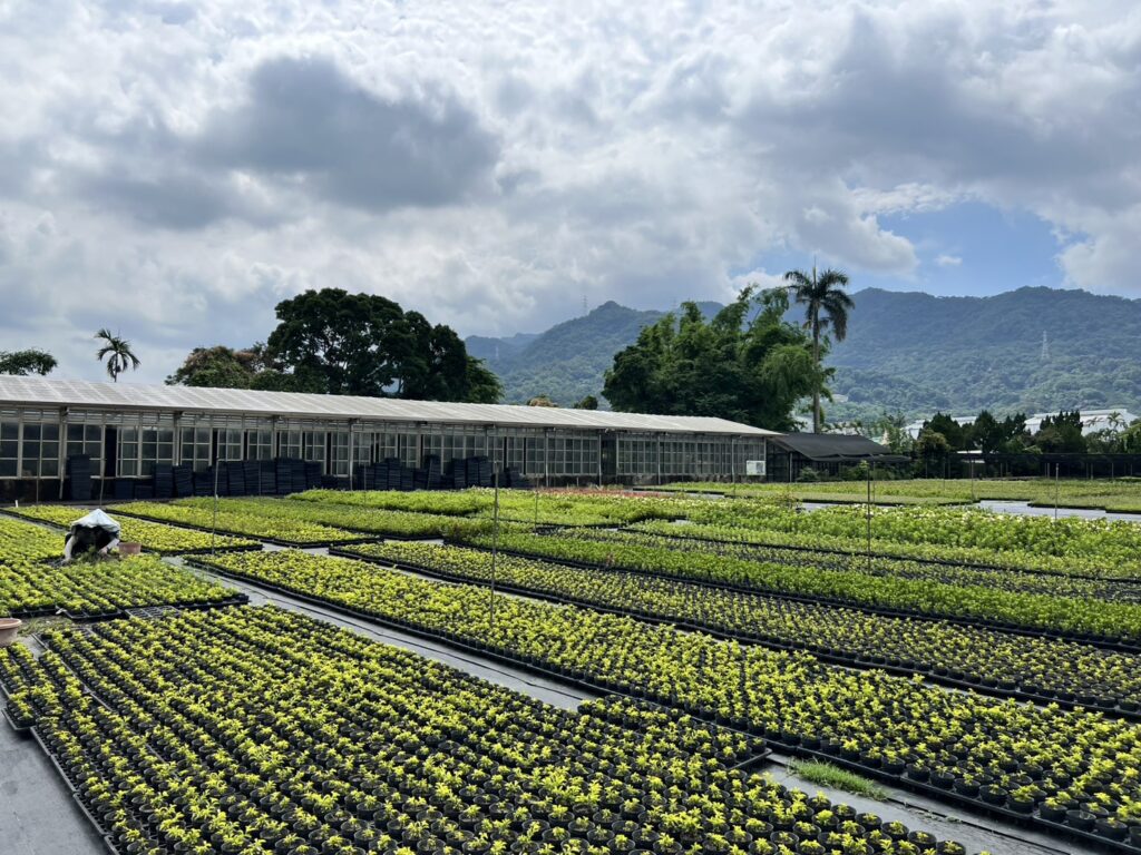 %E4%B8%89%E5%B3%BD%E5%A4%A7%E5%9F%94%E8%8B%97%E5%9C%83%E7%B4%AF%E7%A9%8D%E8%B1%90%E5%AF%8C%E7%9A%84%E5%9C%92%E8%97%9D%E6%A0%BD%E6%A4%8D%E8%88%87%E7%85%A7%E8%AD%B7%E7%B6%93%E9%A9%97%EF%BC%8C%E7%82%BA%E6%96%B0%E5%8C%97%E5%B8%82%E7%9A%84%E7%B6%A0%E5%8C%96%E7%BE%8E%E5%8C%96%E6%8F%90%E4%BE%9B%E7%A9%A9%E5%AE%9A%E6%94%AF%E6%8C%81