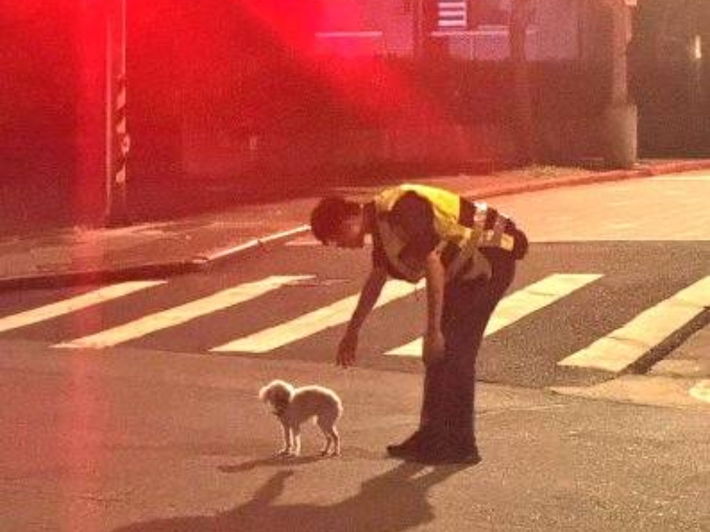 愛犬離家不知去向急報案 警員火速尋獲慶團聚 2 MEITU 20250905 102650879