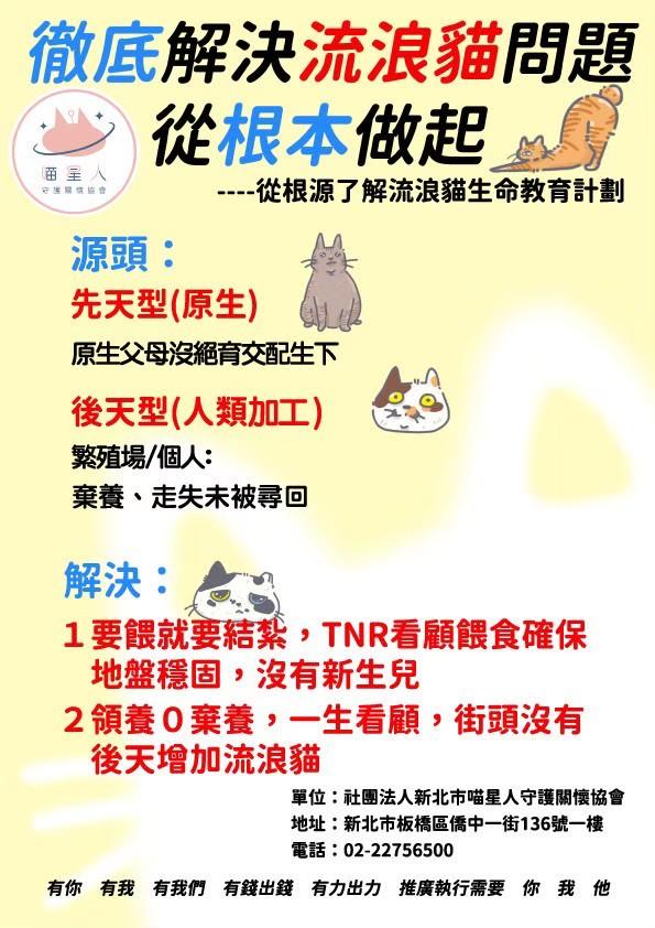 喵星人守護關懷協會・板橋喵屋推動流浪貓救援與送養:把「幫貓也幫人」變成日常行動 | 索引新聞 INDEX News 喵星人守護關懷協會・板橋喵屋推動流浪貓救援與送養:把「幫貓也幫人」變成日常行動