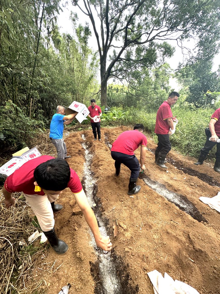 《圖說》世界佛教正心會於教孝月啟建地藏法會，法會圓滿後放生地龍數十萬尾。〈正心會提供〉