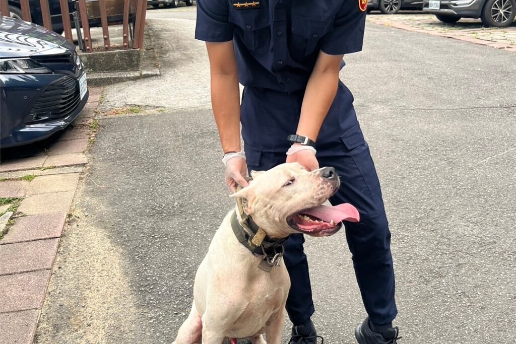 MEITU 20250921 102405611