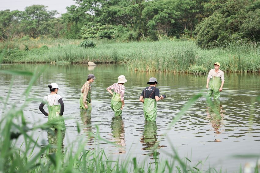 《圖說》創作營團隊穿著青蛙裝進入濕地踏查、收集創作靈感。〈高灘處提供〉