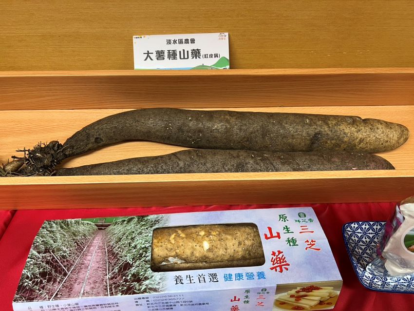 《圖說》大薯種山藥。〈記者葉柏成攝〉