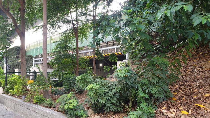 《圖說》三重區格致中學旁綠家園基地綠美化前。〈城鄉局提供〉