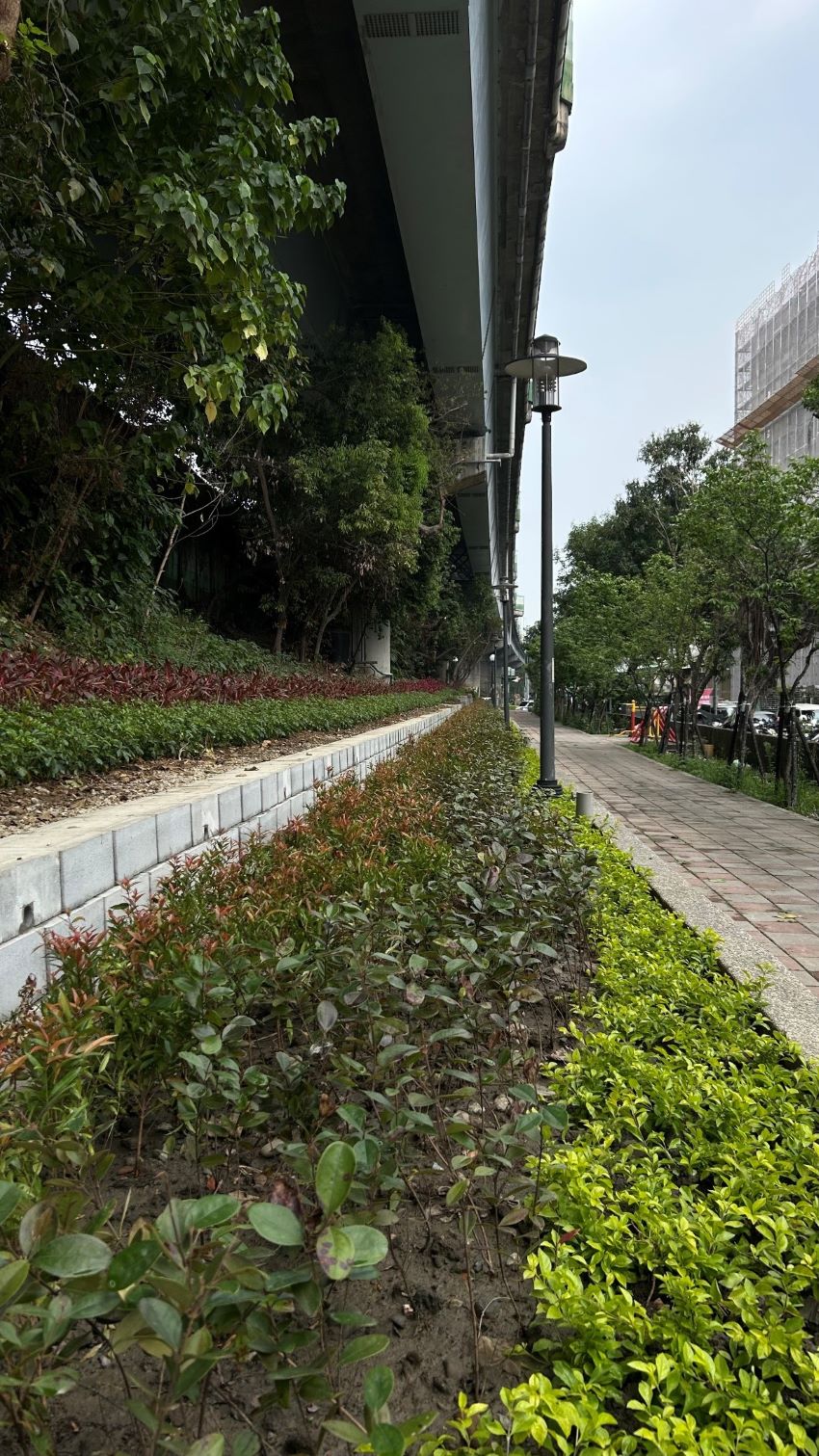 《圖說》三重區格致中學旁綠家園基地綠美化成果。〈城鄉局提供〉