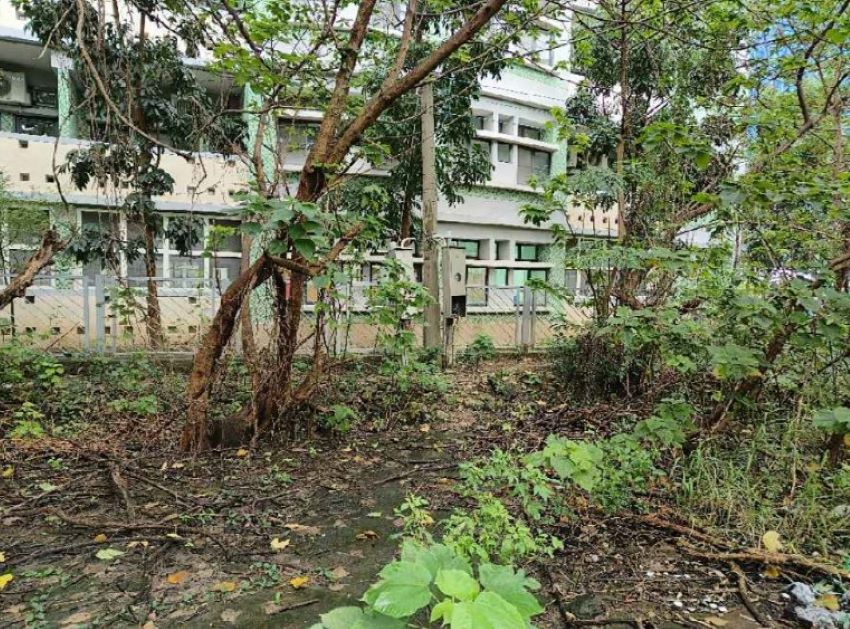 《圖說》三峽區北大國小後側綠家園基地綠美化前。〈城鄉局提供〉