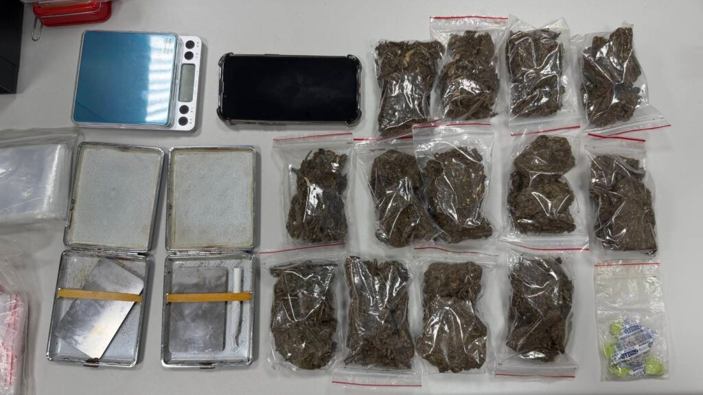 全國同步執行 0917查緝施用大麻黑數專案 挖掘大麻黑數打擊毒品犯罪 1 MEITU 20251001 101019124