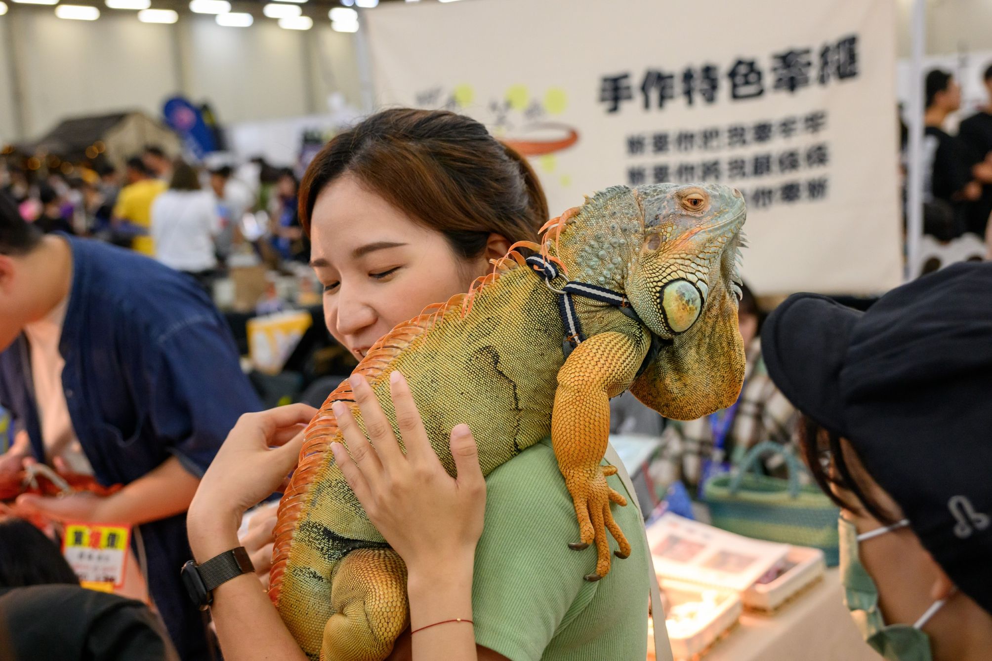 《國際兩棲爬蟲盛典xCCF動漫盛典》10月登場 台北圓山花博爭豔館 打造自然生態與次文化的年度盛宴 2 ▲圖說:現場可攜帶自家寶貝寵物和全國玩家進行交流。(圖片來源:社團法人台中市飛雁創業協會)