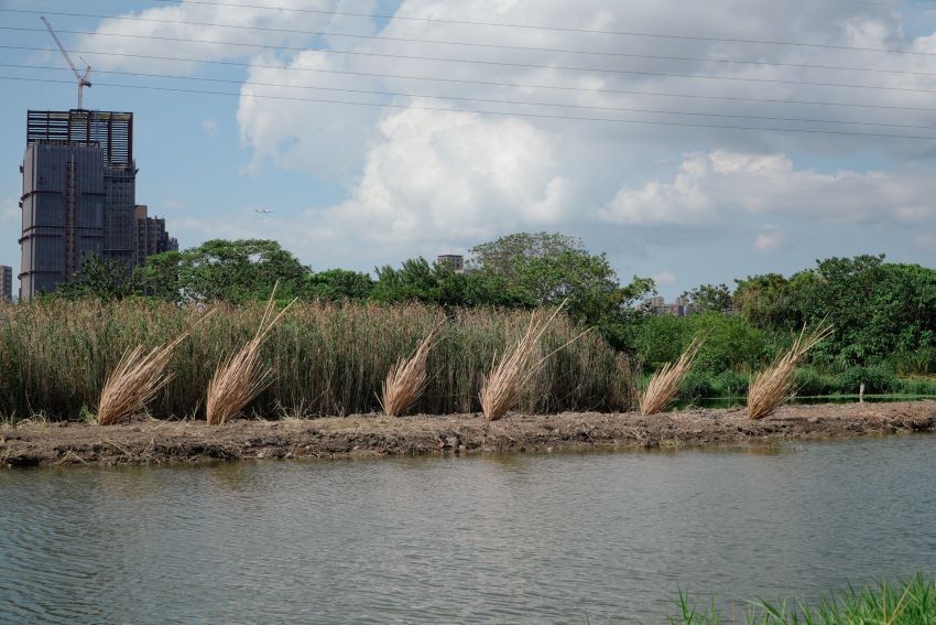 《圖說》「Skydiver+seeds+3」由墨西哥環境藝術家Lua+Rivera創作。〈高灘處提供〉