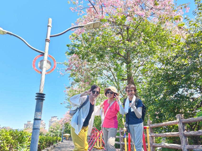 《圖說》賞花民眾直呼，今天散步三峽安溪步道，發現了秋天的禮物。〈水利局提供〉