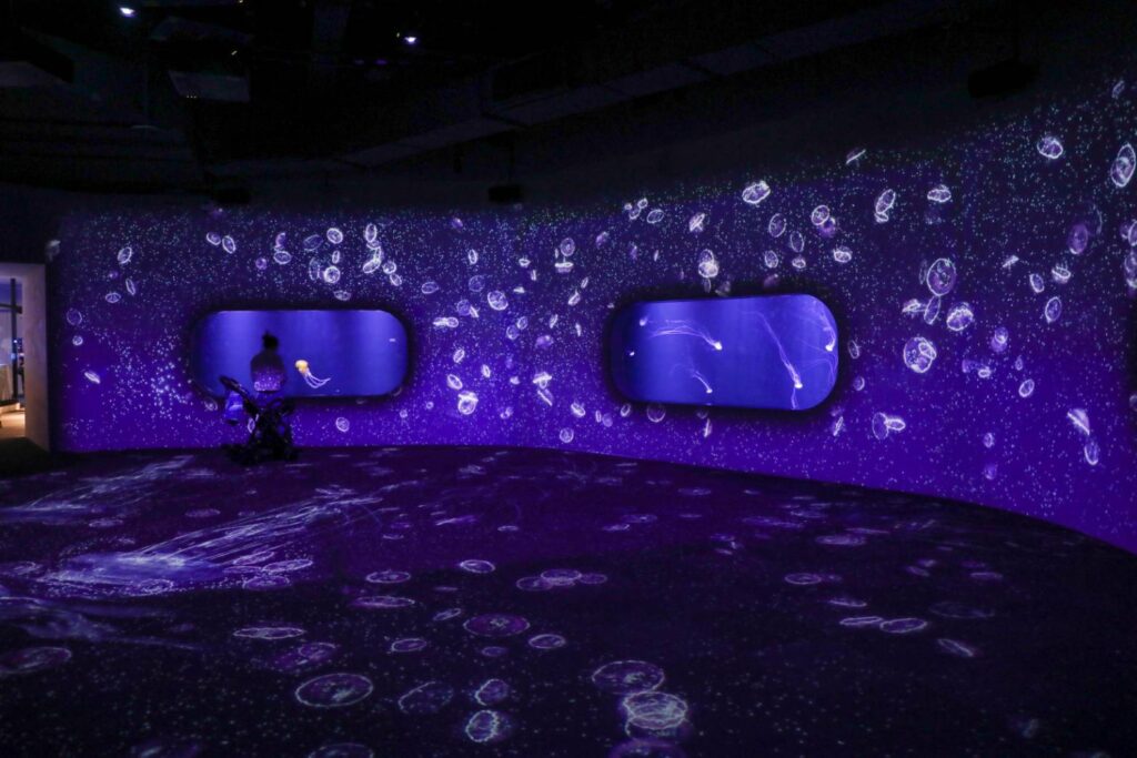 歷經三任市長 「台中海洋館」正式開幕 5 %E5%8F%B0%E4%B8%AD%E6%B5%B7%E6%B4%8B%E9%A4%A8 %E6%9C%89%E5%85%A8%E5%9C%8B%E6%9C%80%E5%A4%A7%E8%A6%8F%E6%A8%A1%E7%9A%84 %E6%B0%B4%E6%AF%8D%E4%B8%BB%E9%A1%8C%E5%B1%95%E5%8D%80