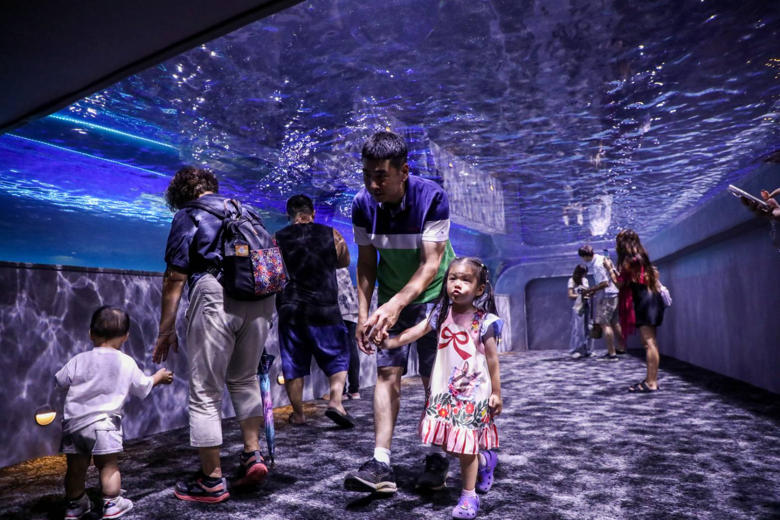 「台中海洋生態館」啟航 跨越三任市長四大創舉夯 | 索引新聞 INDEX News 「台中海洋生態館」啟航 跨越三任市長四大創舉夯 | 索引新聞 INDEX News