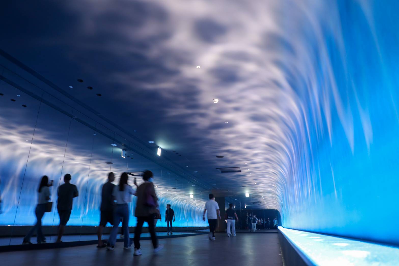 「台中海洋生態館」啟航 跨越三任市長四大創舉夯 | 索引新聞 INDEX News 「台中海洋生態館」啟航 跨越三任市長四大創舉夯 | 索引新聞 INDEX News