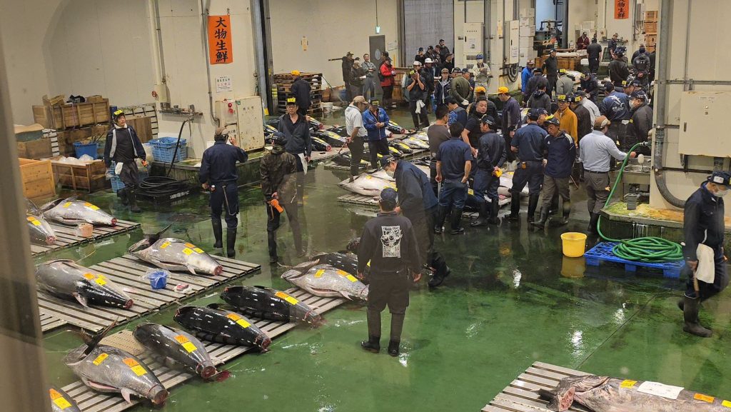 基隆市長謝國樑率團赴東京考察豊洲與築地市場 | 索引新聞 INDEX News 基隆市長謝國樑率團赴東京考察豊洲與築地市場 | 索引新聞 INDEX News