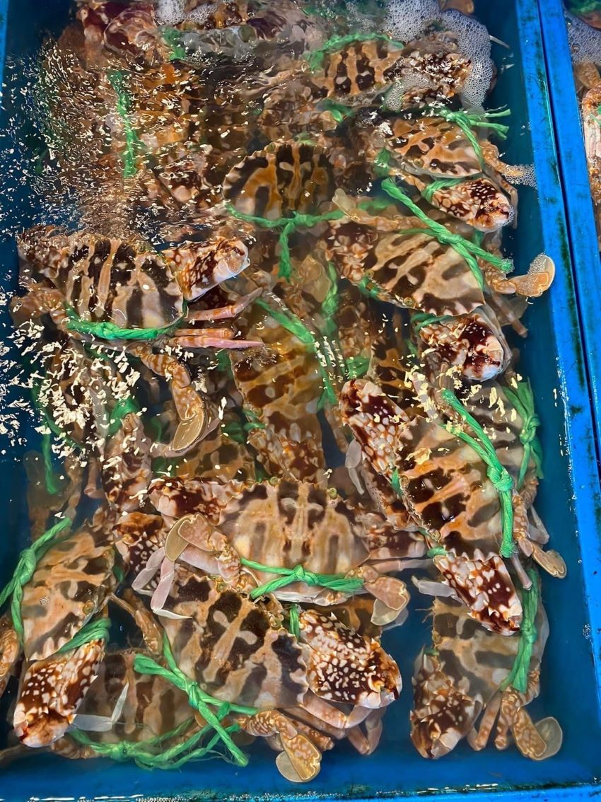 《圖說》富基魚市。〈漁業處提供〉