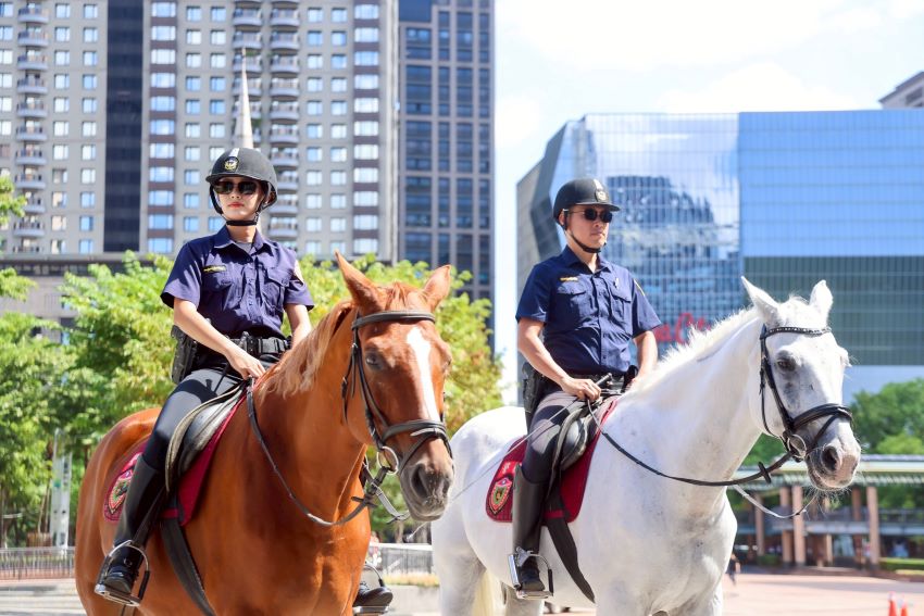 《圖說》新北騎警隊將參加114年國慶日表演遊行，特別精選8匹駿馬與18位騎警同仁，擔任「英雄車隊」前導任務。〈新聞局提供〉