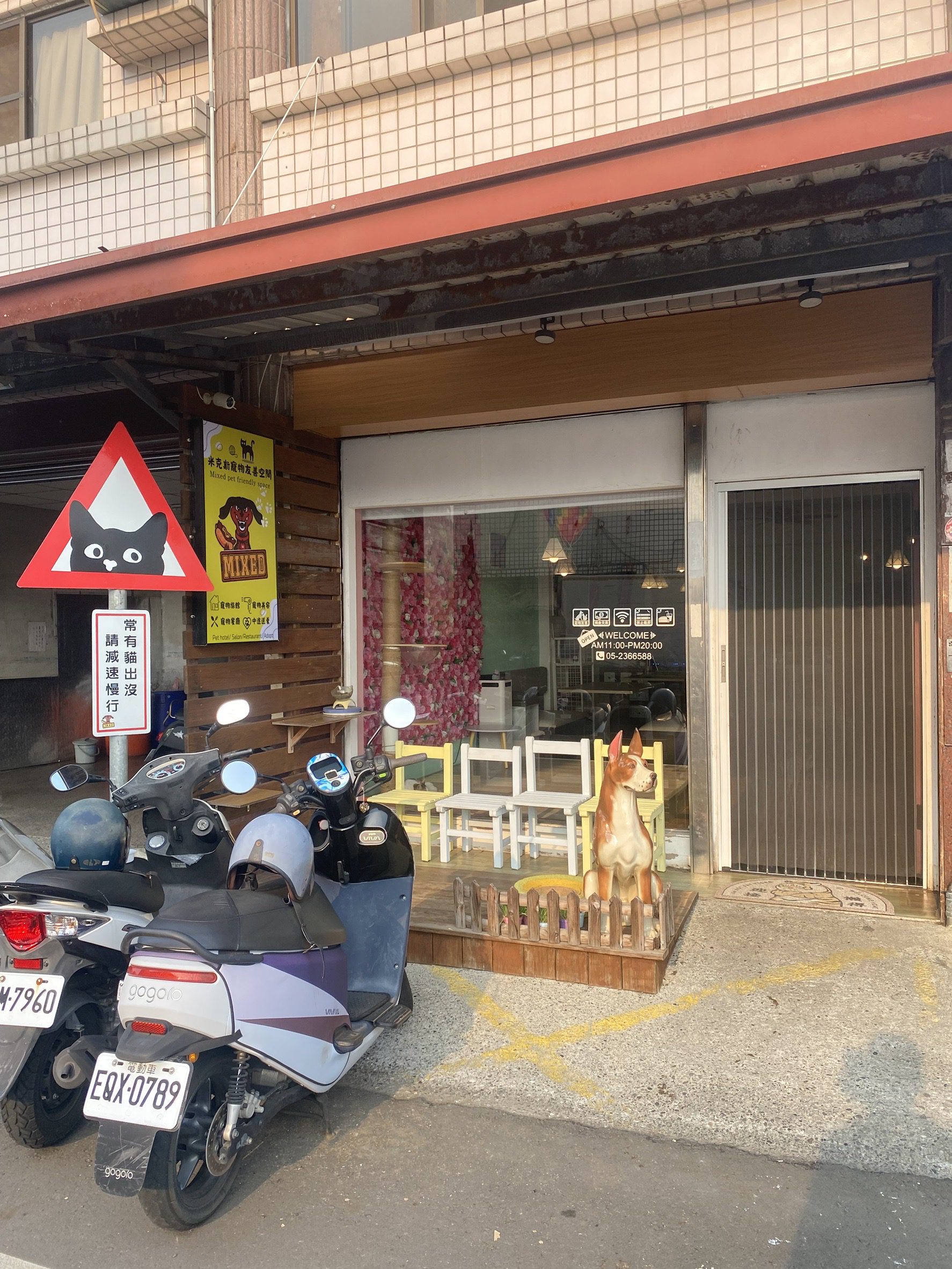 愛不止步！嘉義市攜手米克斯寵物友善餐廳打造幸福認養新據點 | 索引新聞 INDEX News