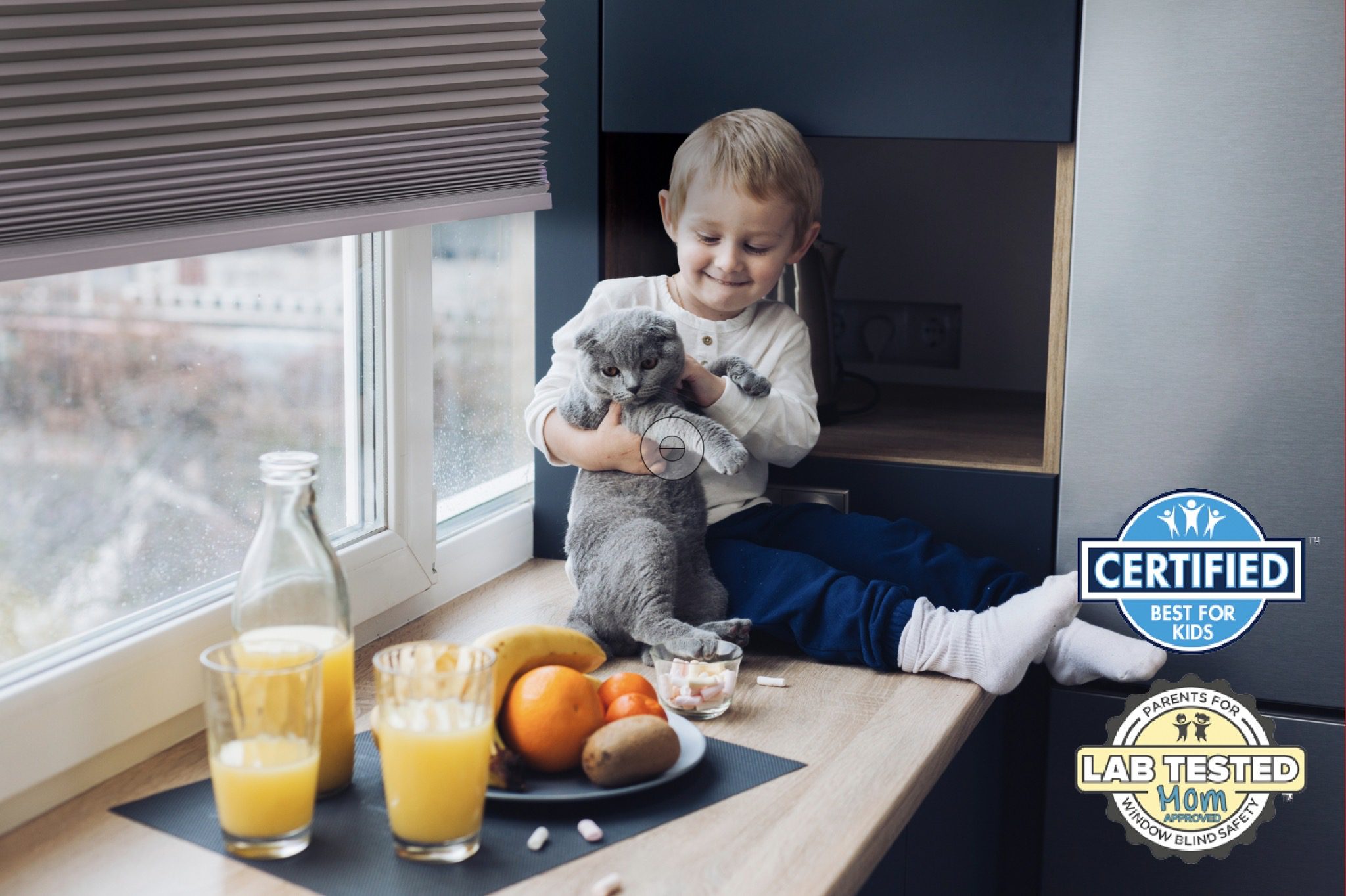 家具褪色、皮革乾裂？罪魁禍首是陽光！蜂巢簾居家防曬抗UV全面升級 芮格居家進駐磐德廚藝玻璃屋會客空間  客製化無段上下雙開  遮光兼顧隱私 | 索引新聞 INDEX News