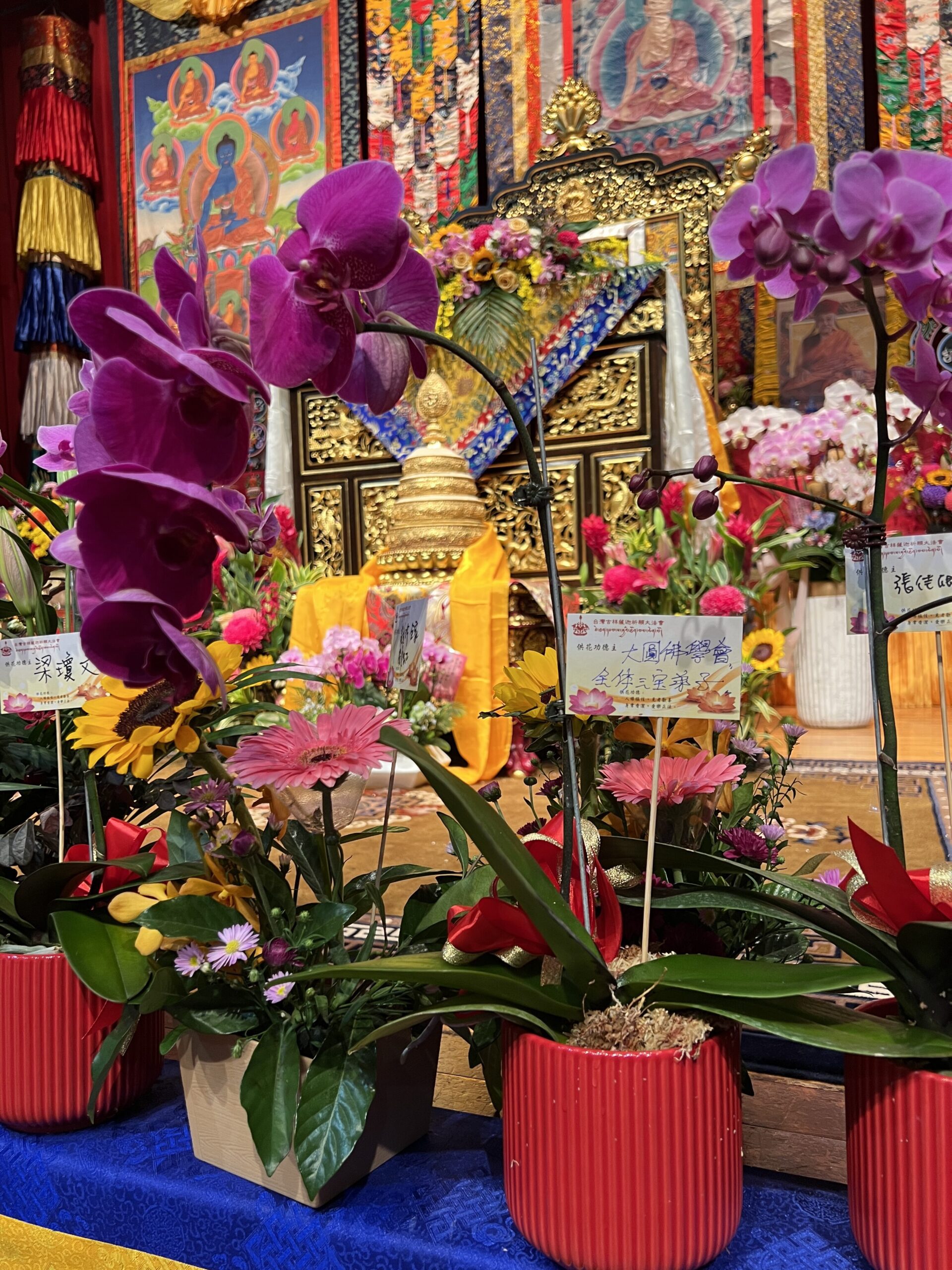 第二屆台灣薩迦世界和平祈願大法會|首日快訊-43任法王雲端開示 第二屆台灣薩迦世界和平祈願大法會|首日快訊-43任法王雲端開示