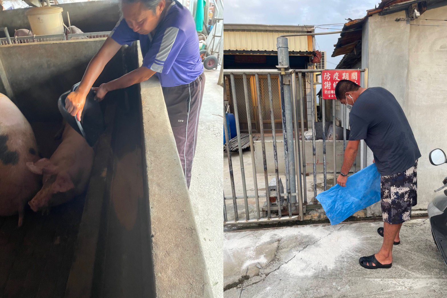 臺南市政府即時攔截有疑慮的豬肉原料， 全面強化食安稽查與防疫措施