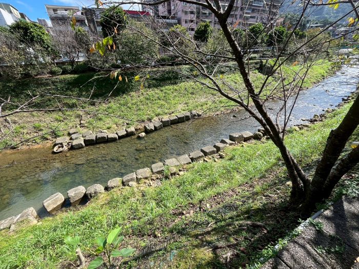 《圖說》康誥坑溪固床工施工前,河道水流紊亂,易造成河床及護岸掏刷。〈水利局提供〉