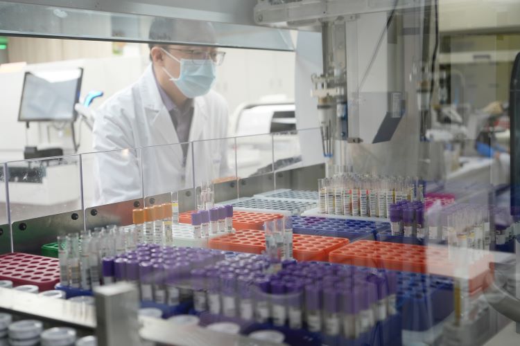 《圖說》推動生化與免疫檢驗共管整合,一次採血完成更多檢查。〈臺北醫院提供〉