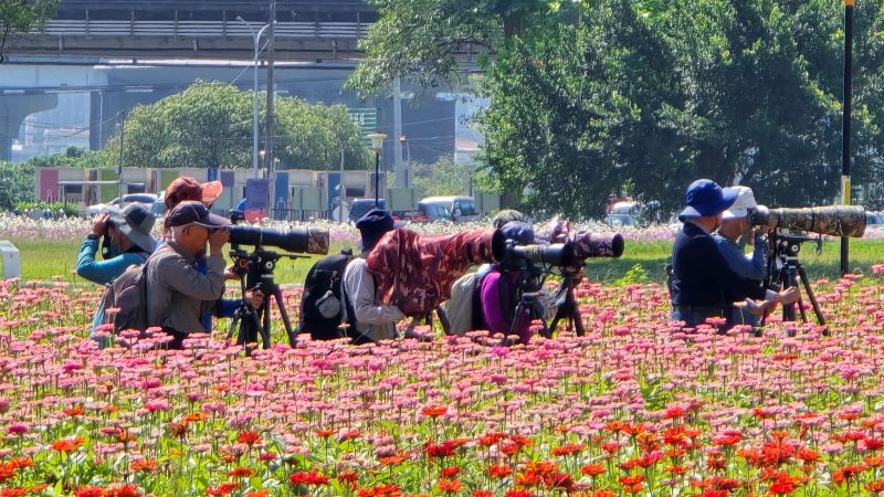 《圖說》在新北大都會公園等待「鶯」姿的攝影同好。〈高灘處提供〉