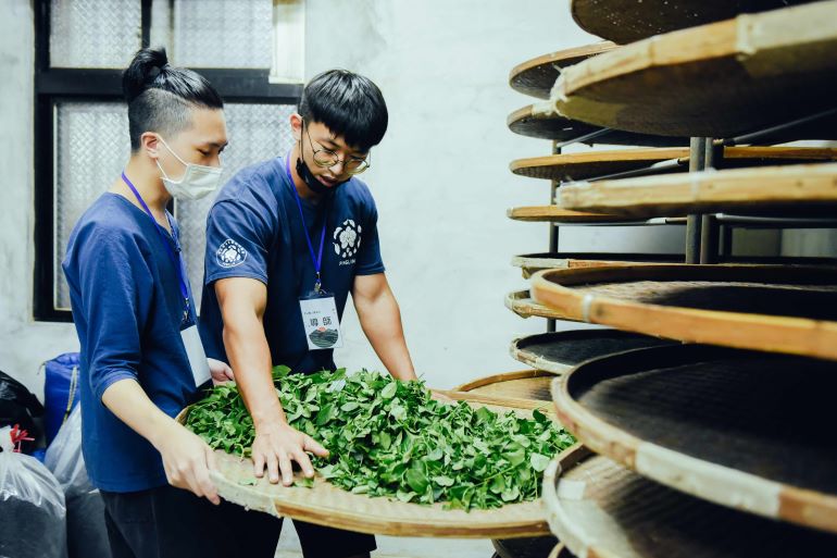 《圖說》有種茶積極推動食農教育與茶職人學院。〈農業局提供〉
