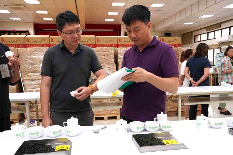 《圖說》評審蘇彥碩品評今年參賽茶樣皆帶有包種茶特別的清新花香。〈農業局提供〉