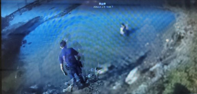 《圖說》海山警當機立斷涉水下河救援。〈海山分局提供〉